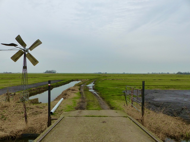 De Rijperdwarsweg: ‘een heel open gebied’.  Foto: Rineke Neppelenbroek